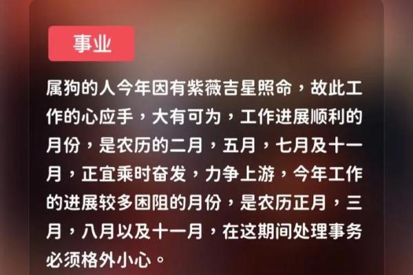 属狗者在10月的命运：秋风送爽，运势大解析！