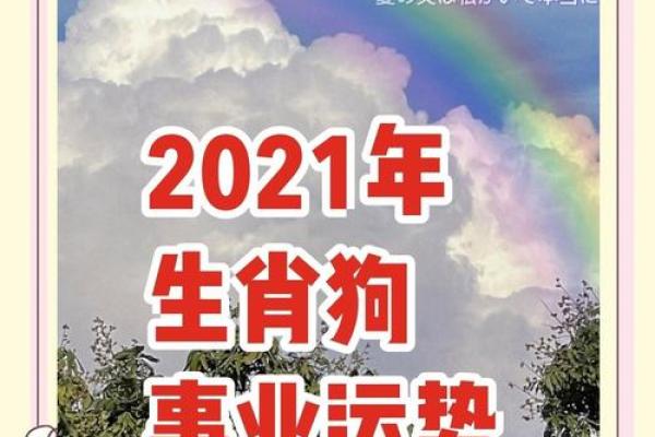 属狗者在10月的命运：秋风送爽，运势大解析！