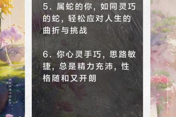 探寻一九九二属蛇之命运：潜藏的智慧与魅力