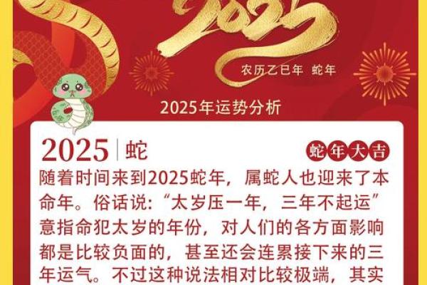 探寻一九九二属蛇之命运：潜藏的智慧与魅力