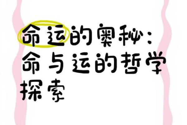 探索飞扬传奇中的命格奥秘，揭示人生路上的选择与变化！