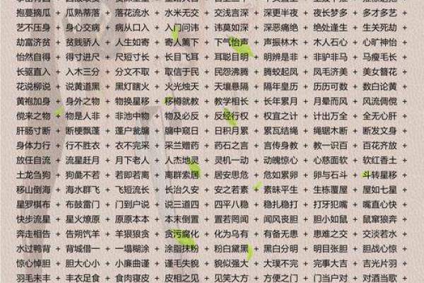 探索成语的智慧与魅力：命中注定的成语传奇