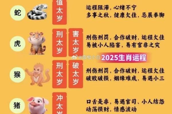 1959年农历生肖与命理解析：命运之路的探索与启示