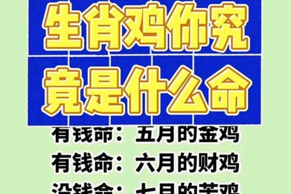 50岁：属什么生肖，命运如何解读？