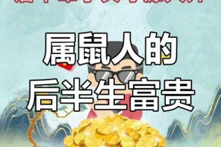 37岁老鼠的命运：揭示生肖鼠的奥秘与人生哲学