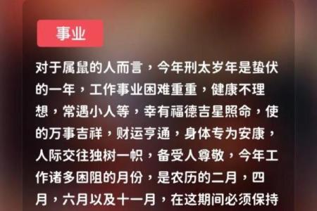 属兔的命运解析：2018年兔年，运势与人生轨迹的深度剖析