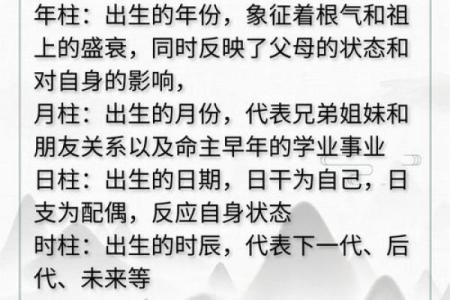 探究命理变化的奥秘：八字、风水与个人选择的交织