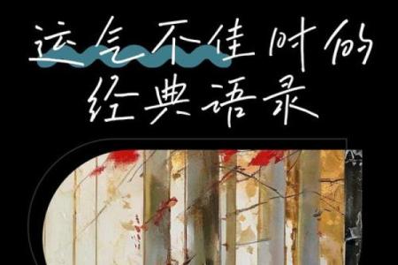 命好的人生：不依赖能力，只讲运气与机遇的故事