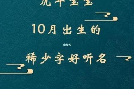 申时出生男孩命理解析：揭开命运的秘密，助力人生的辉煌之路