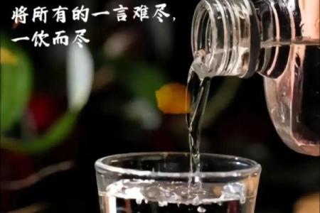 探秘空命酒：酒中蕴藏的生活哲学与文化精髓