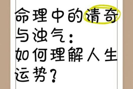 1971年出生的人命运解析：如何理解自己的人生轨迹与运势变化