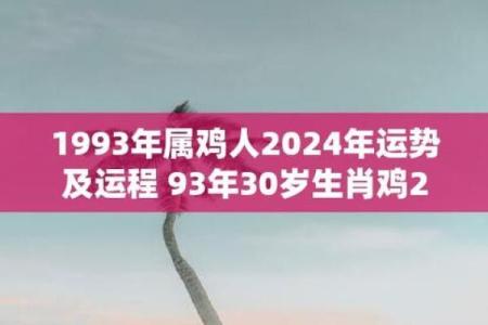 93年度属鸡人的命运与性格解析，揭秘人生精彩与挑战！