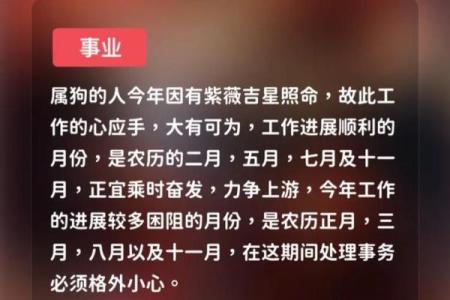 属狗者在10月的命运：秋风送爽，运势大解析！