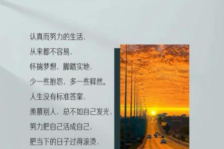 没有小孩的人的命运与生活探讨：另类人生的选择与挑战