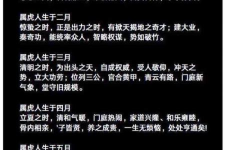 2003年出生的虎命解析：勇敢与坚持的象征