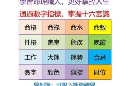 探寻一九三八年的命格之谜：命理解读与人生启示