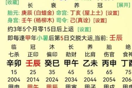 探秘“命坤”：中国传统命理中的深奥含义与应用