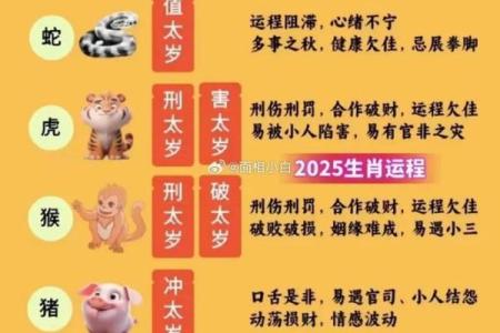 1959年农历生肖与命理解析：命运之路的探索与启示