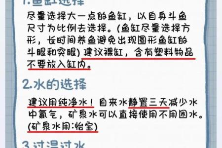 杨柳木命的鱼养宝典：适合你的水中伙伴与养护技巧