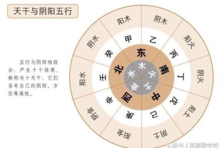 揭开申时女孩的命格之谜：她们的性格与命运