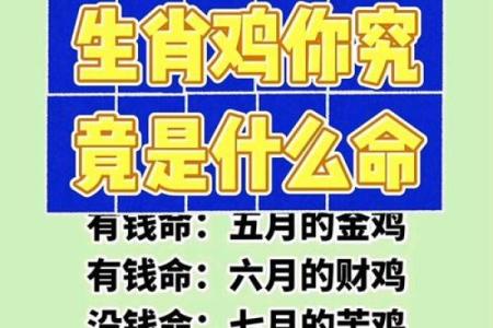 50岁：属什么生肖，命运如何解读？