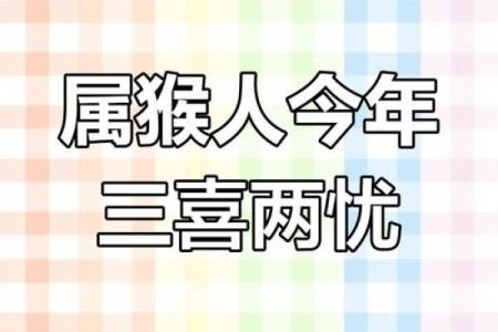 2019年属猴人命运解析：机遇与挑战并存，如何把握人生的重要时刻