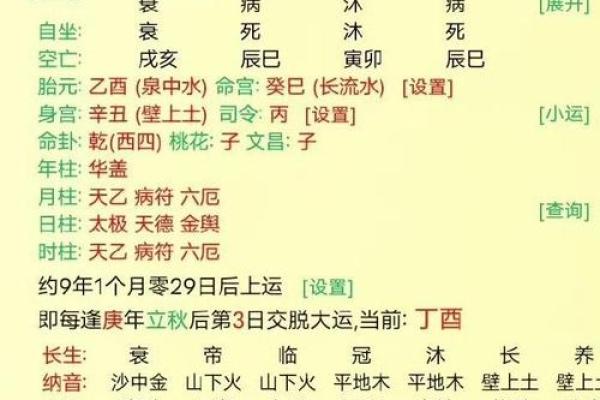1995年出生的你，命卦解析与人生指南！