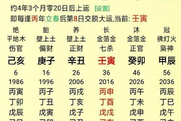 1995年出生的你，命卦解析与人生指南！