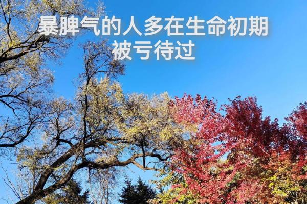 命与脾气：探索性格背后的命理秘密
