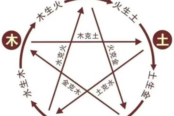 1998土命人：缺什么，如何通过五行协调增强运势？