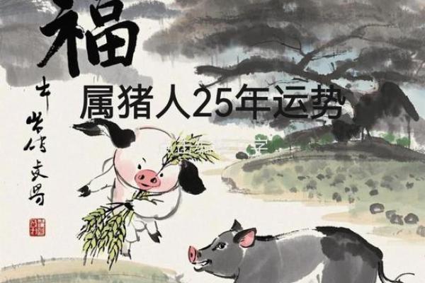 71年属猪的土命之人：生活智慧与运势分析