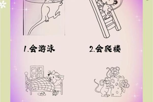 不怕老鼠的人是什么命？揭开性格背后的秘密！