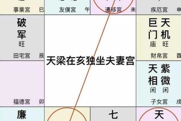 巳年出生的女孩命理解析：幸福与挑战的双重旅程