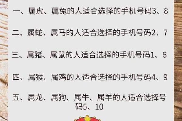 生肖破解：命运之谜与生肖的深刻关联
