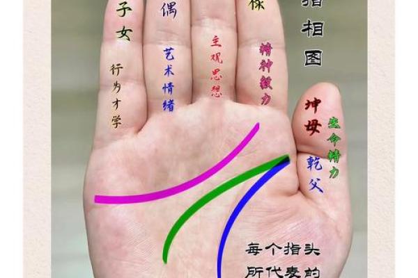 探秘樱桃型手掌：灵性与命运的深度解读