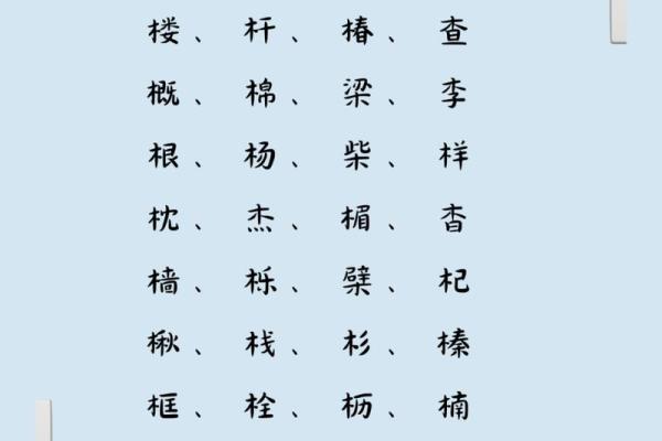 “木字旁的命名奇妙探源——探讨‘林’字的深意与文化链接