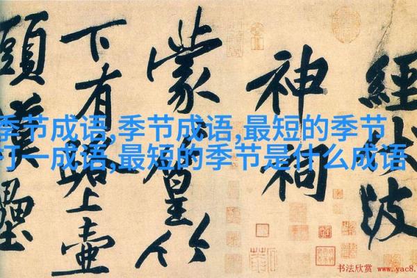 探索成语的魅力：传承智慧与文化的瑰宝