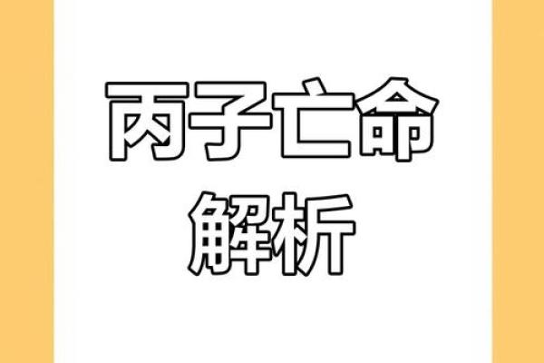 从命理看戊寅癸亥庚申丙子之命运探秘：解读五行与人生哲学