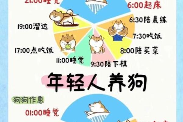土命家庭如何选择养宠物促进生财之道