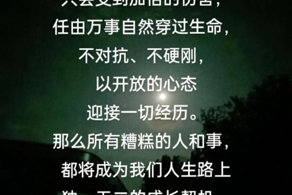 探索“伤害已命”的深意与启示：生活中的种种挑战