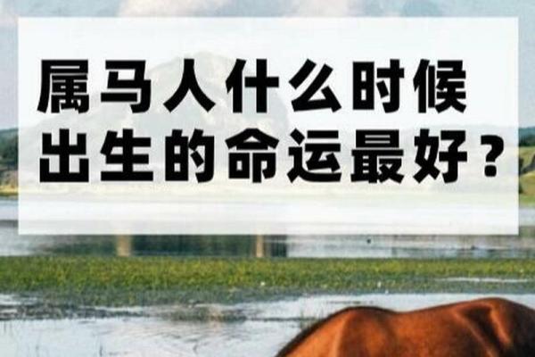 42岁属马的命运解析：揭示人生的机遇与挑战！