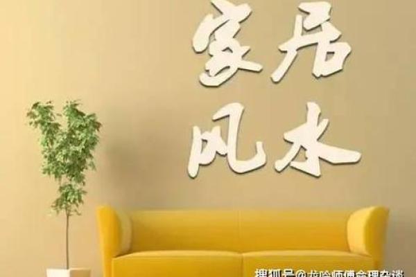 水命人的家居摆放技巧与风水建议
