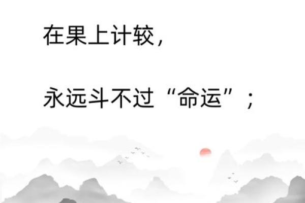 83年属女的命运与生活：如何把握自己的未来？