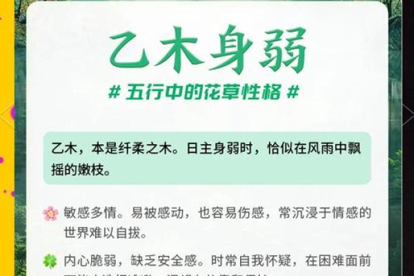 探秘木命之人：他们的属相和命运之路