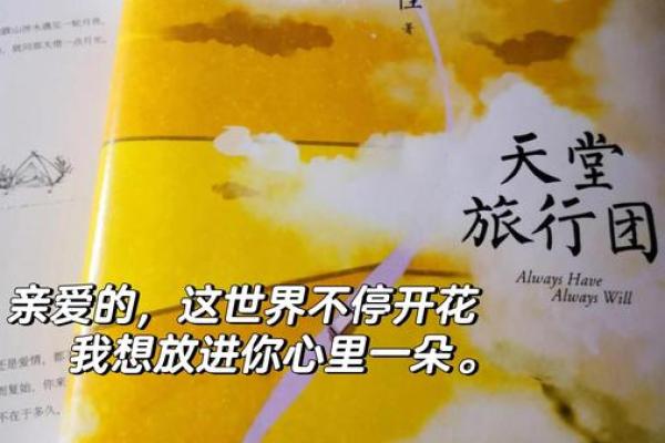 探寻生活的细腻之美：听什么，什么命的启示