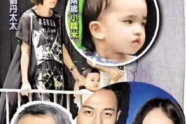 揭开刘恺威贵重命格的神秘面纱，探讨其背后的命运与人生哲学