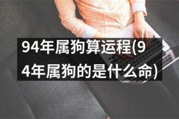 23岁属狗的幸运与挑战：命运的奥秘与未来