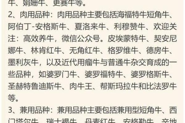 1961年牛年：生肖牛的独特魅力与命运解析
