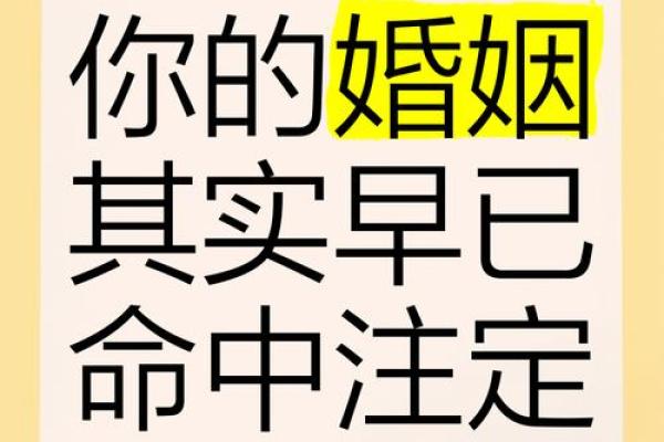 命里注定的姻缘：探索命运与爱情的交织