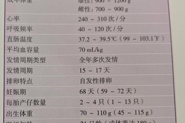2006年出生的猪狗命运解析：如何在生活中找到自己的成功之路